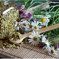 Жизнь внутри стресса. Как помочь себе травами