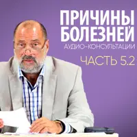 Причины болезней. Аудио-консультации. Часть 5.2
