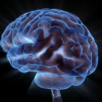 Когнитивное обучение