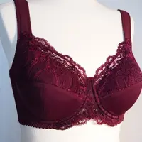 Лекала бюстгалтера "Дарин", модель №031