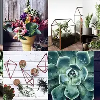 Дизайн и создание ботанических композиций