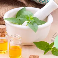 Кипрей + Прикоснуться к Природе