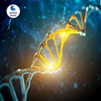 Очистка ДНК