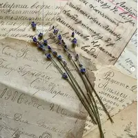 Проект Реконструкция