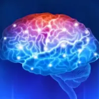 Активация среднего мозга