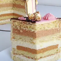 Бисквитные рецептурные карты. Ванильно-абрикосовый сырный мусс