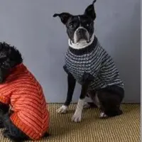 Свитер для собаки Pinstripe