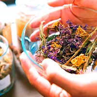 Фитооздоровление при эндокринных заболеваниях