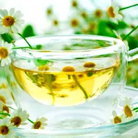 Фитооздоровление при желудочно-кишечных заболеваниях