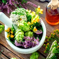 Технология приготовления фитопрепаратов в домашних условиях