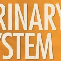 Исцеление мочевыделительной системы