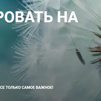 Как реагировать на критику