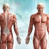 Уменьшитель отеков