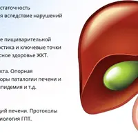 Гепатобилиарная система и поджелудочная железа