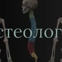 Остеология