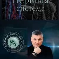 Нервная система