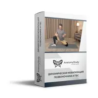 Динамическая мобилизация позвоночника и ТБС