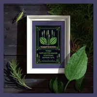 Подорожник: Оберег и элемент травника