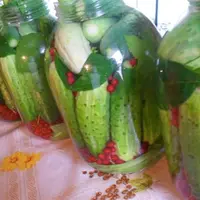 Запасы на зиму: как сохранить всё самое полезное и вкусное