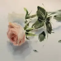 Розы с натуры