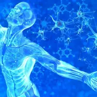 Регенерация. Программирование тела на бессмертие