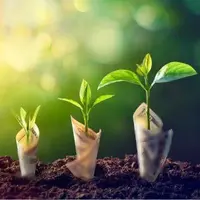 Ритуалы и практики с Русскими рунами, Ангельскими энергиями и Симорон. Технологии привлечения материальных благ