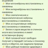 Фабула "Спинной Мозг"