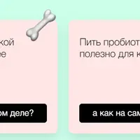 Как питаться вкусно и полезно