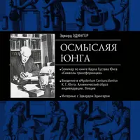 Осмысляя Юнга