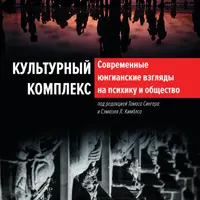 Культурный комплекс. Современные юнгианские взгляды на психику и общество