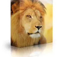 Тренировочный набор Alpha Male v6.0, этап 4