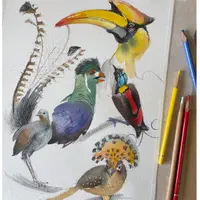 Зарисовки тропических птиц