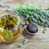 Помощь трав в борьбе с паразитами