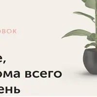 Тренировки по абонементу: Сентябрь 2022