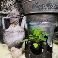 Эффект камня Броканте