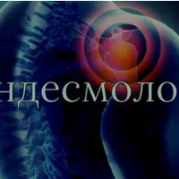 Синдесмология