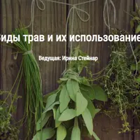 Виды трав и их использование