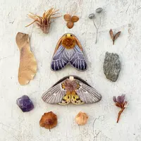 Марафон Мотыльки