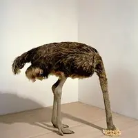 Познай себя. Практики: Комната Совершенства, Подарки королей, Сканер