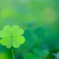 Самый счастливый человек во вселенной