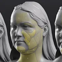 Топографическая анатомия головы и шеи