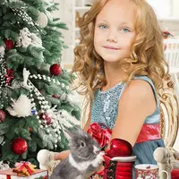 Фотошаблон "Новогоднее настроение"