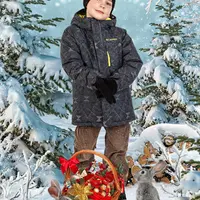 Фотошаблон "Чудеса в новогоднем лесу"