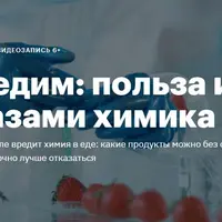 Что мы едим: польза и вред глазами химика