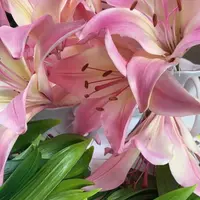 Лилия из холодного фарфора