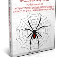 Комплекс технологий «Родовая паутина»: избавление от деструктивных родовых программ и защита от родственников-паразитов