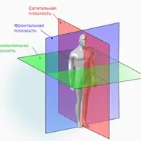 Здоровое вращение: верни вращение суставам и скажи STOP артроз