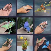 Бабочки и Мотыльки