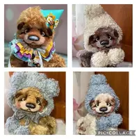 Мишка в шапочке