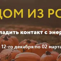 Родом из рода. Контакт с энергией своего рода